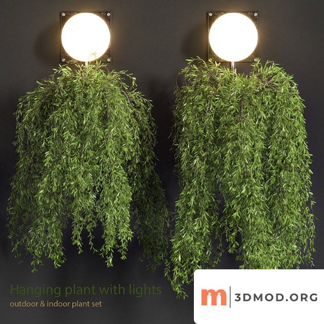 Hanging plant with lights