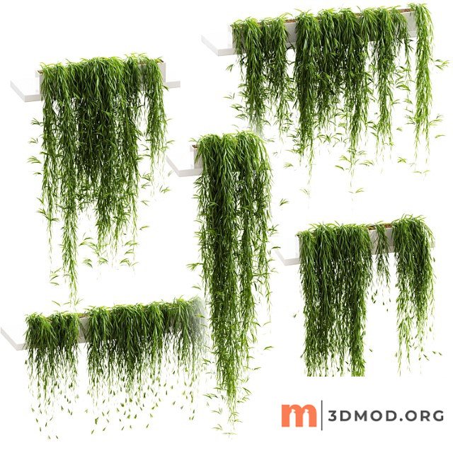 Hanging plants for shelves. 5 models. set 3