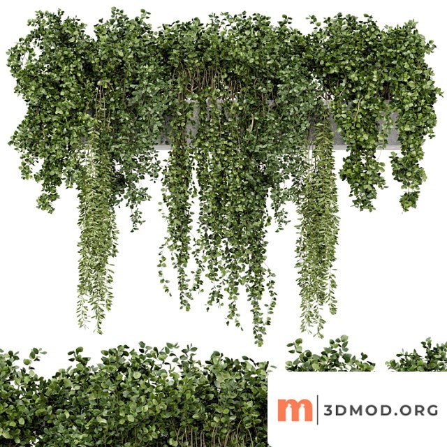 Hanging plants in rusty concrete pot - set 353
