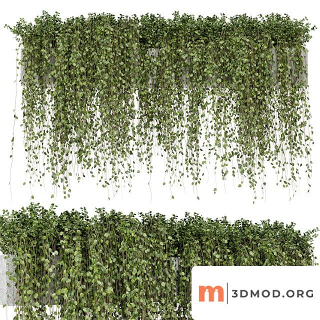 Hanging plants in rusty concrete pot - set 509