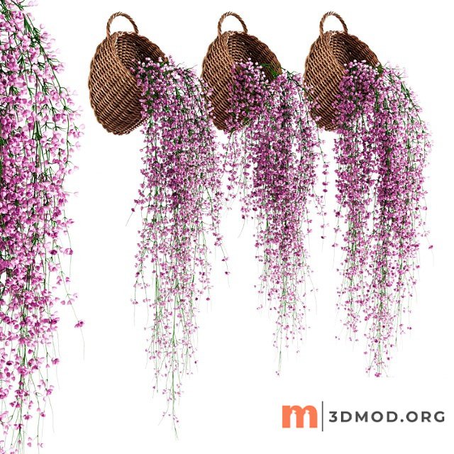 Hanging plants in wicker pots v2