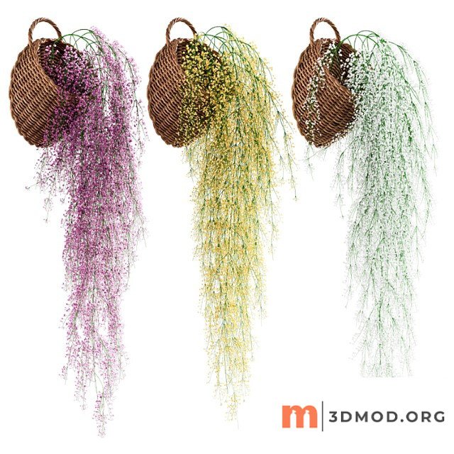 Hanging plants in wicker pots