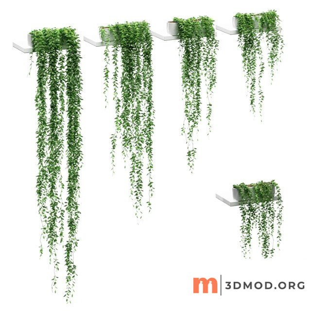 Hanging plants on the shelves. 5 models
