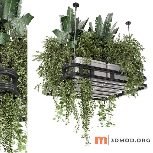 Hanging plants set in concrete pot - set 1113
