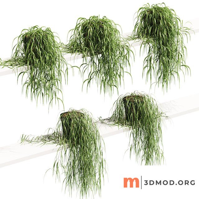 Hanging potted plant on the shelf. 5 models