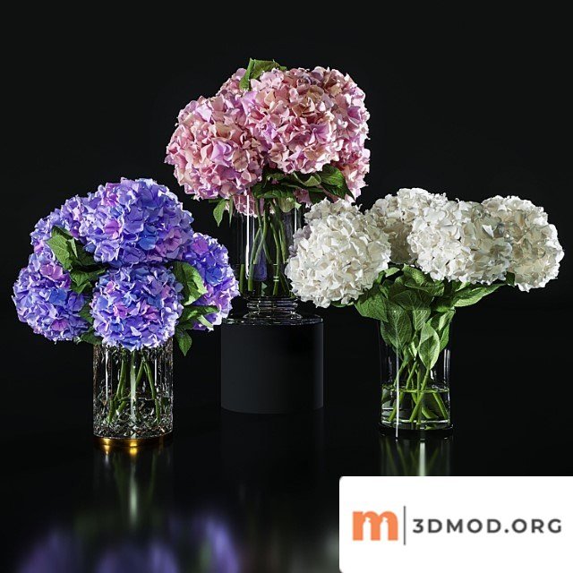 Hydrangea set 002