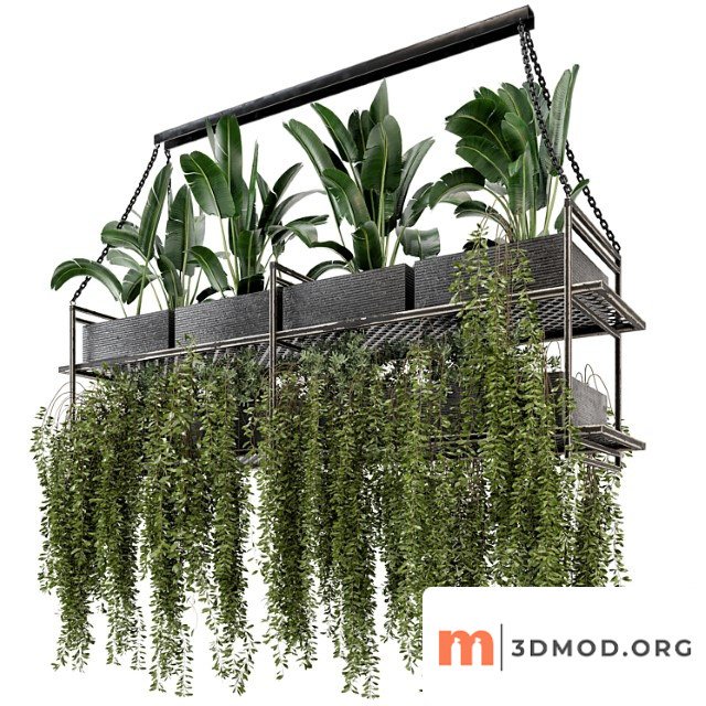 Indoor Hanging Plants In Metal Box Set 269