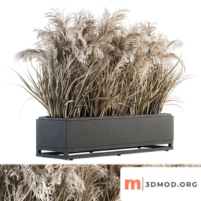 Indoor Plant Set 131 Dried Plant Box