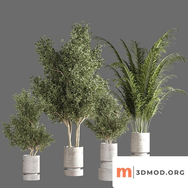 Indoor Plant Set 192