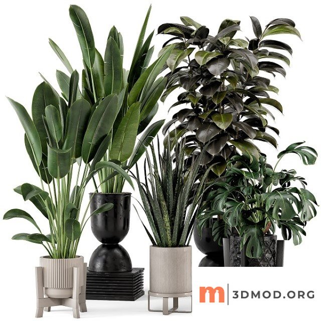 Indoor Plants in Ferm Living Bau Pot Large Set 583