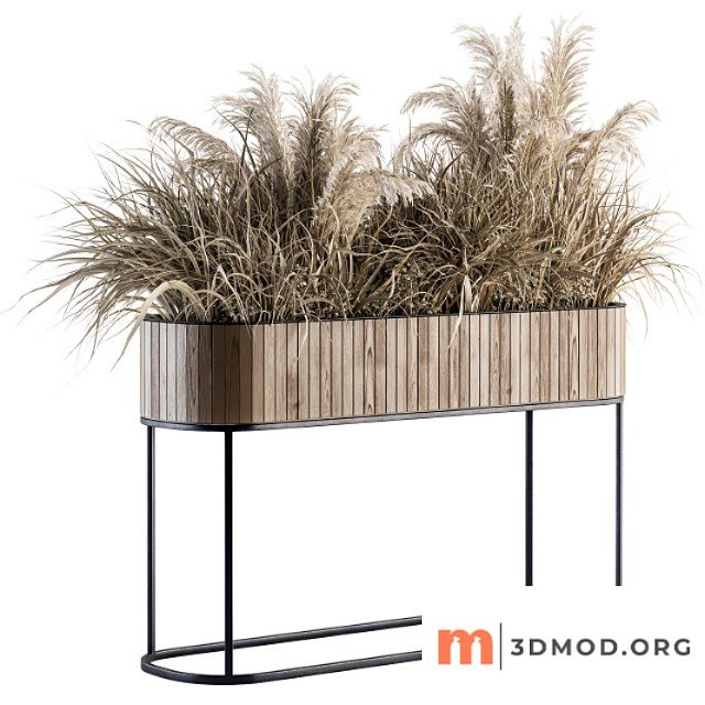 Indoor plant set 122- dried plants in wood stand