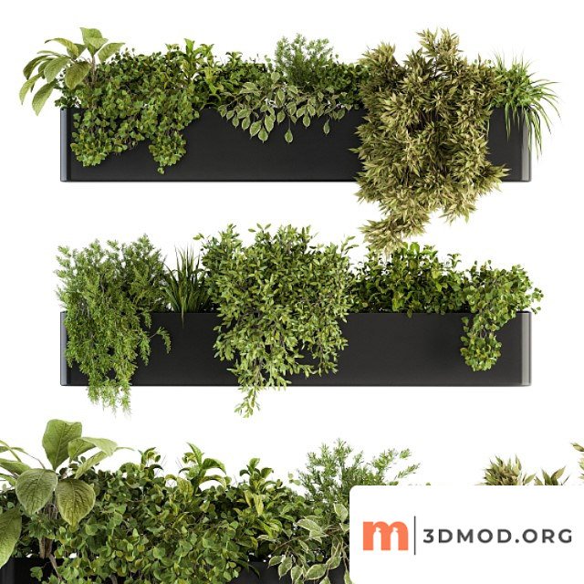 Indoor plant set 210 - hanging plants
