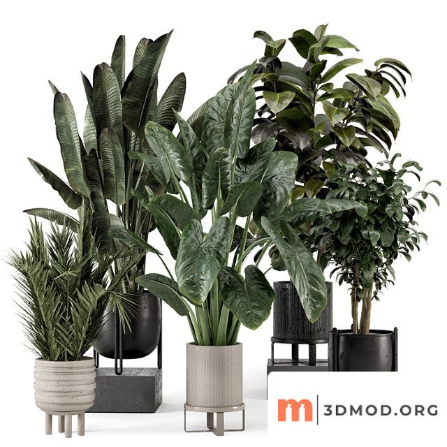 Indoor plants in ferm living bau pot large - set 1292