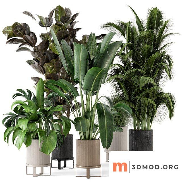 Indoor plants in ferm living bau pot large - set 206