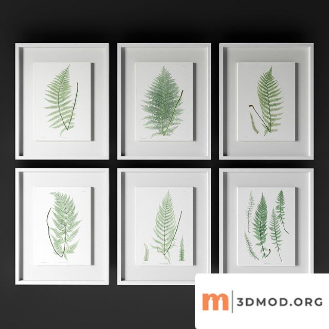 Johnrichard - antique frond