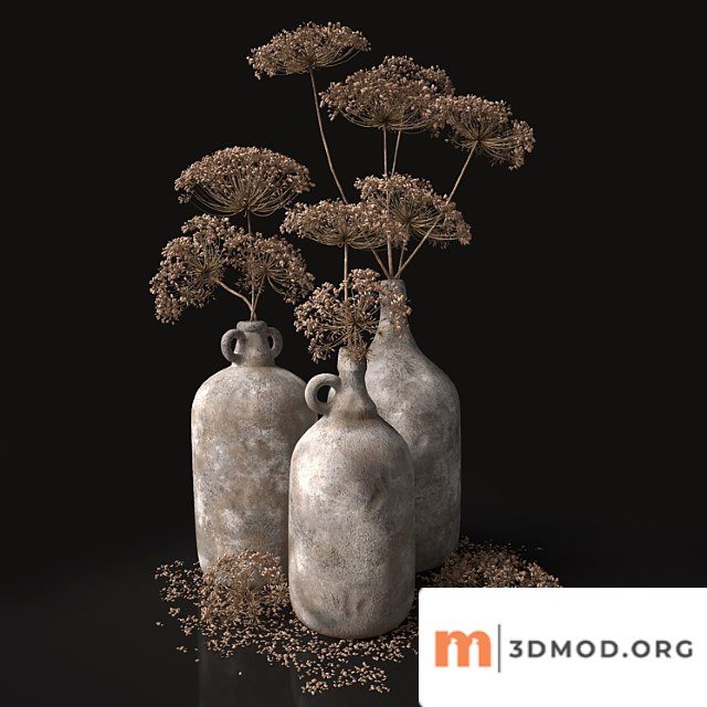 Jugs with dry dill stalks