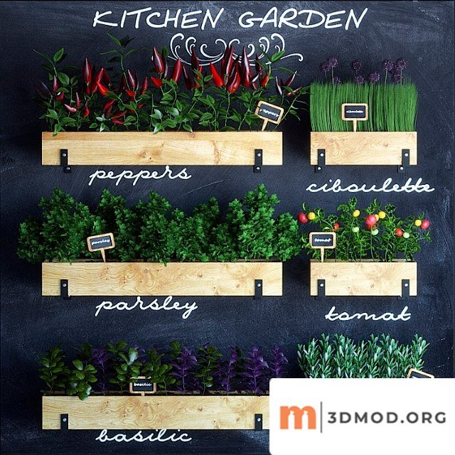 Kitchen garden