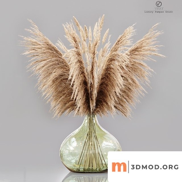 Luxury pampas grass