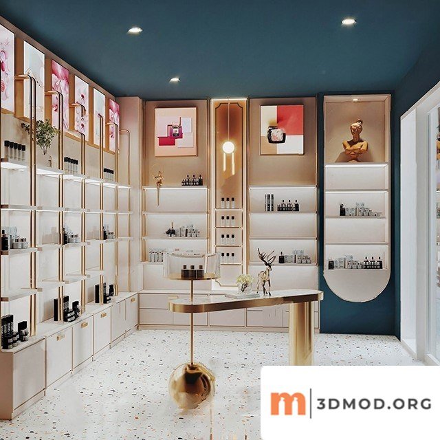 Modern Cosmetic Store 9