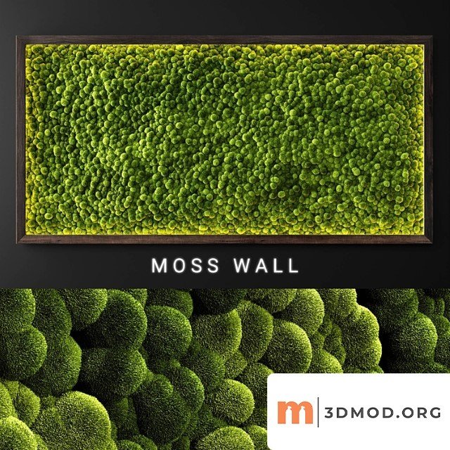 Moss Wall 21