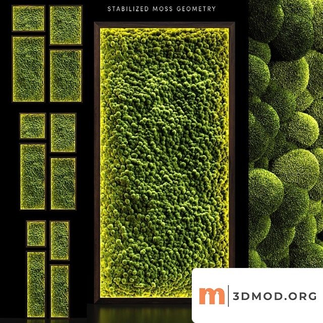 Moss Walls 22