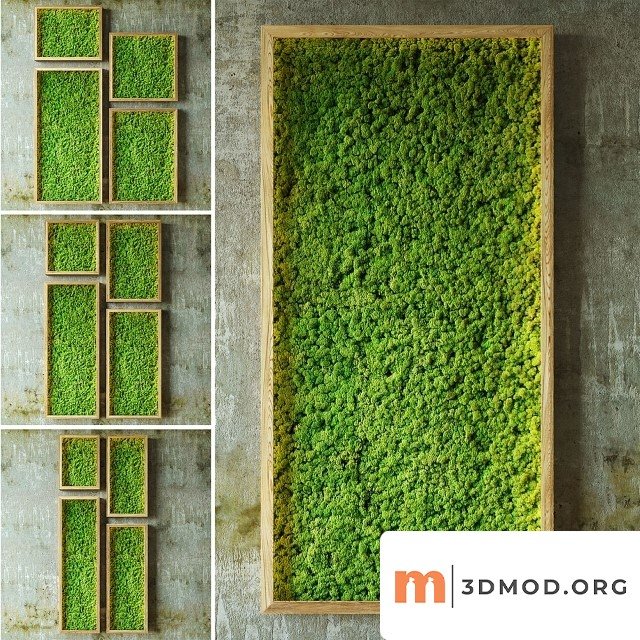 Moss Walls