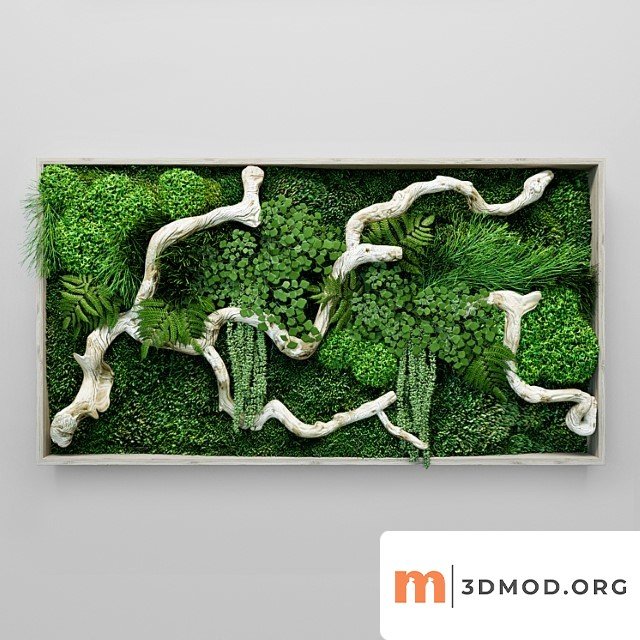 Moss, fern and snag fytowall