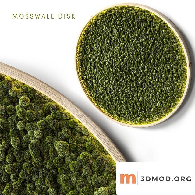 Mosswall Disk 2