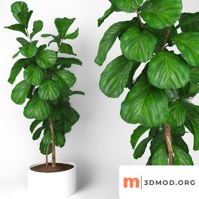 Nearly Natural Artificial Fiddle Leaf Tree