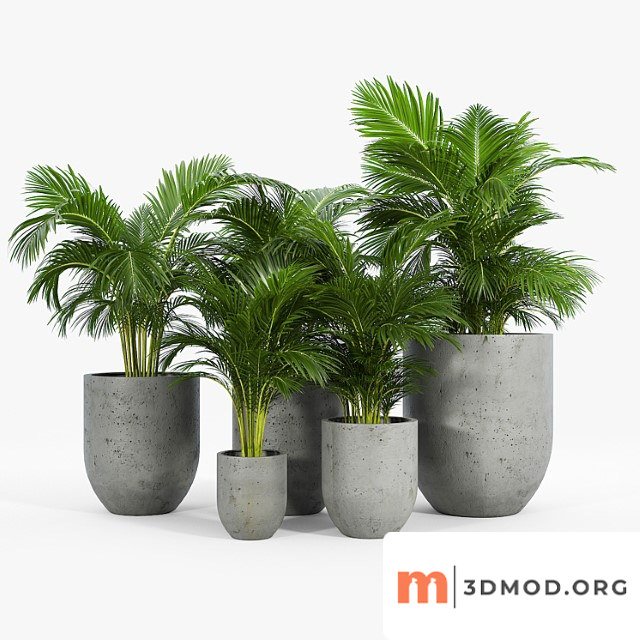 Neo planter