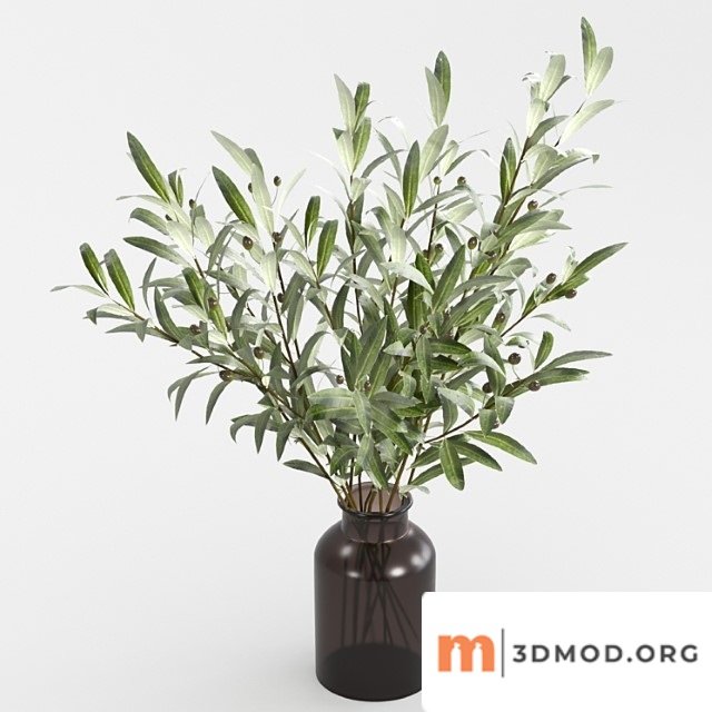 Olive branches in a vase_2