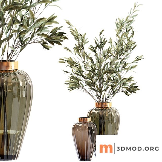 Olive stems in zara glass vase with water