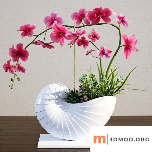 Orchidea Bouquet