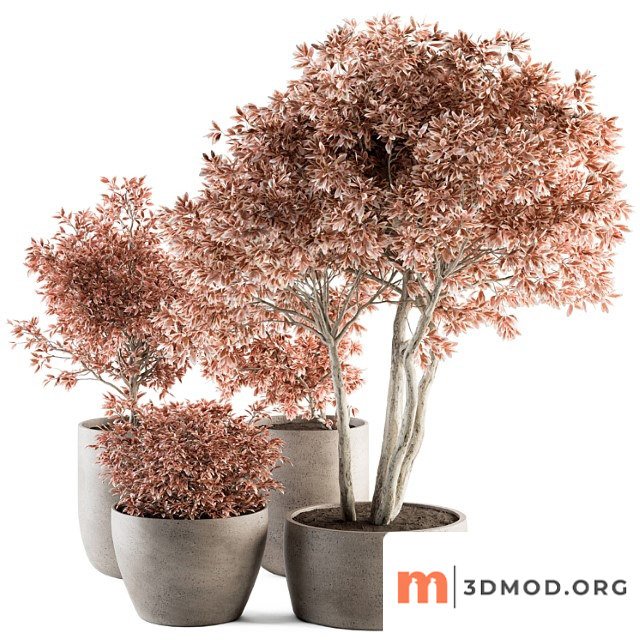 Outdoor Plant Set 359 Pink Plant Set In Concrete Pot