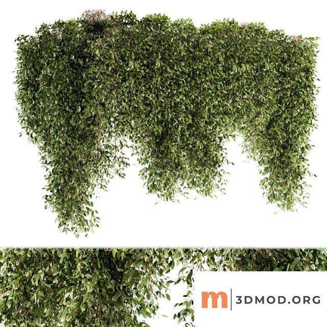Outdoor Plant Set 96 Hanging Plants