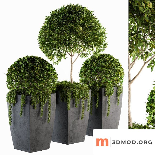 Outdoor Plants Round Topiary Tree Set 75