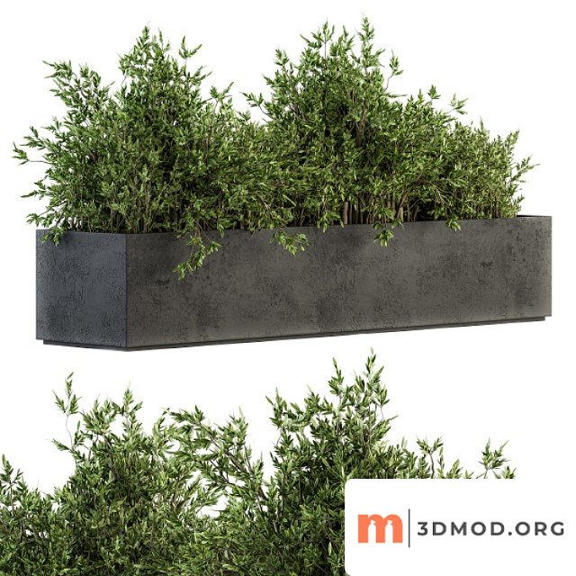 Outdoor Plants Tree In Concrete Box Set 126