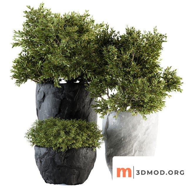 Outdoor Plants Tree in Rock Pot Set 136