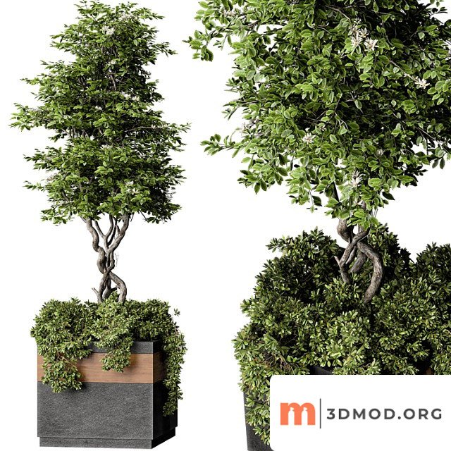 Outdoor plant set 01