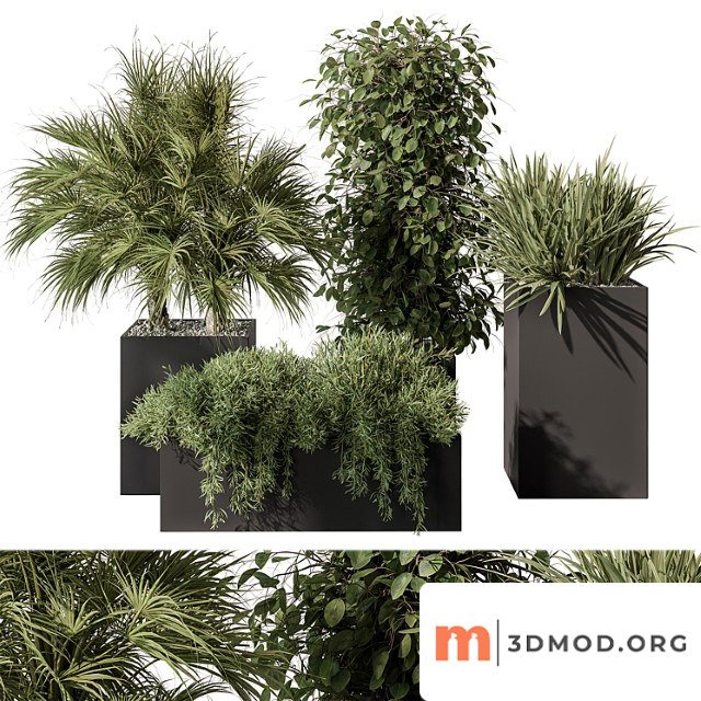 Outdoor plant set 402 - plant set in plant box