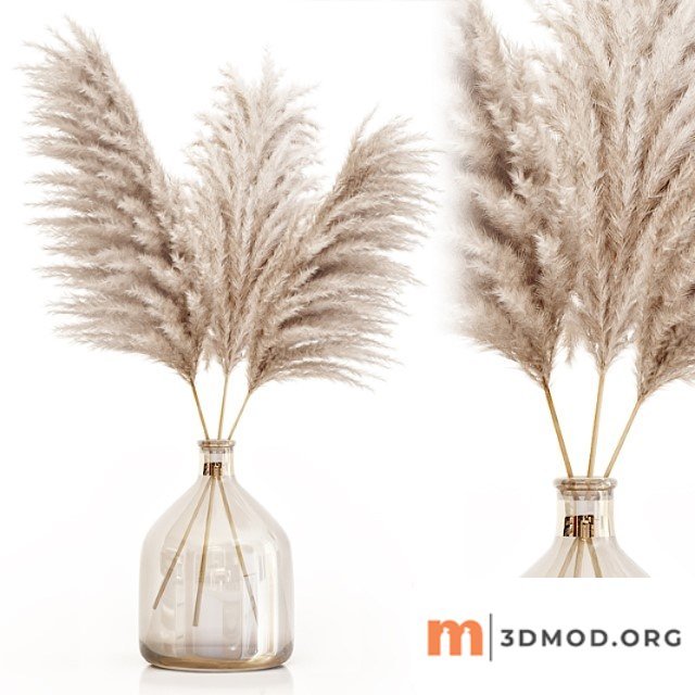 Pampas grass in glass vase 7
