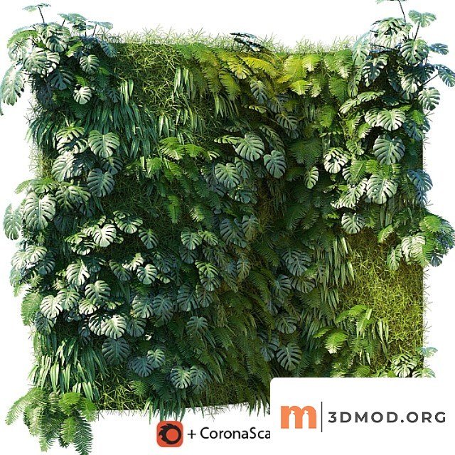 Phytowall 1