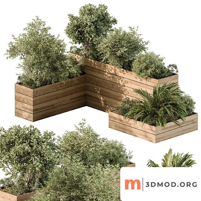 Plant Box Outdoor Plants 487