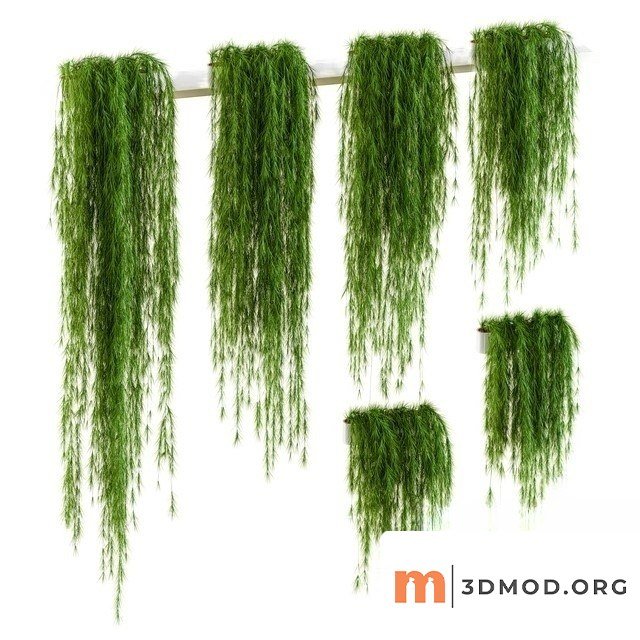 Plant Wall Set 1