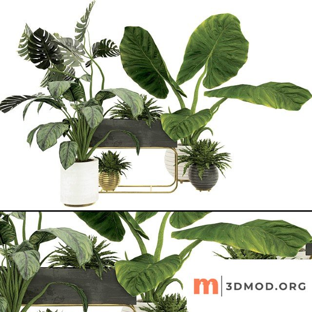 Plant collection set 07