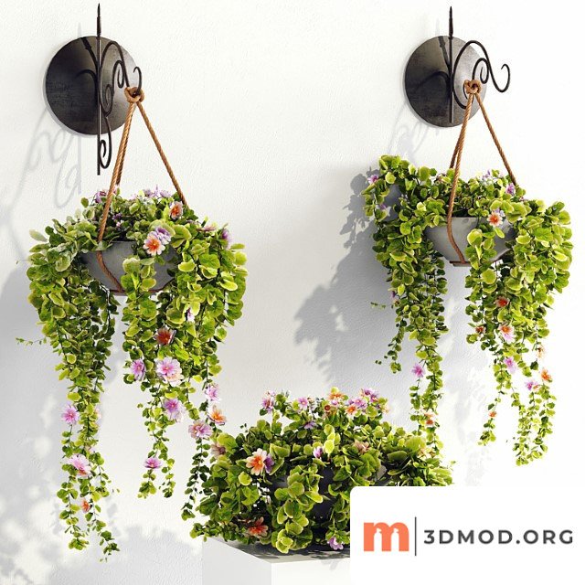 Plant pots