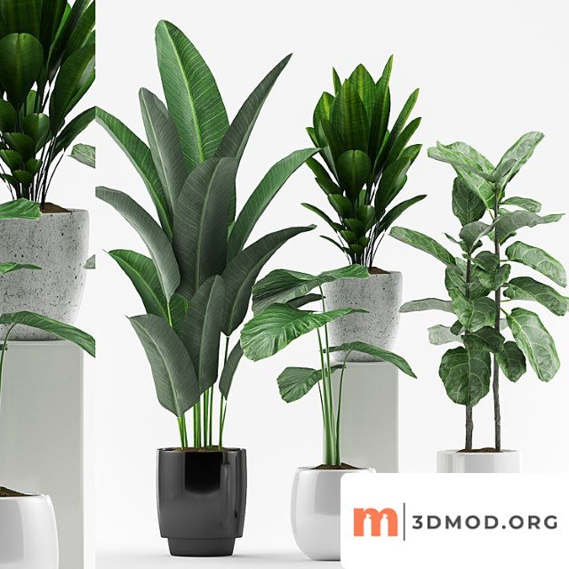 Plants 127