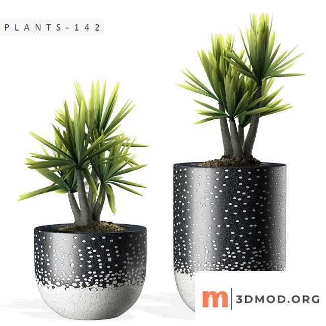 Plants 142