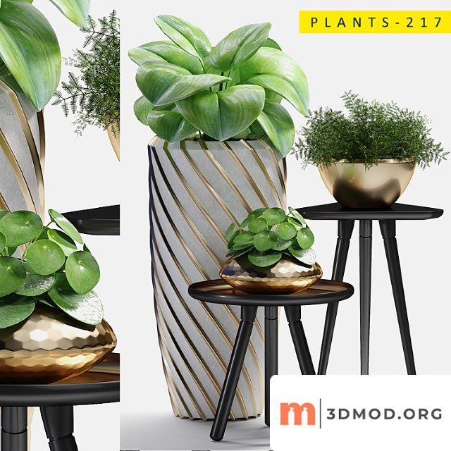 Plants 217