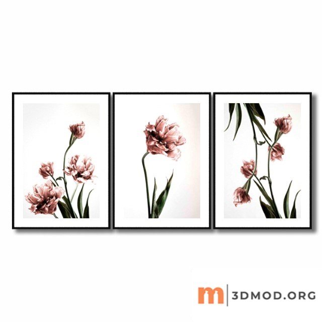 Posters with pink tulips.